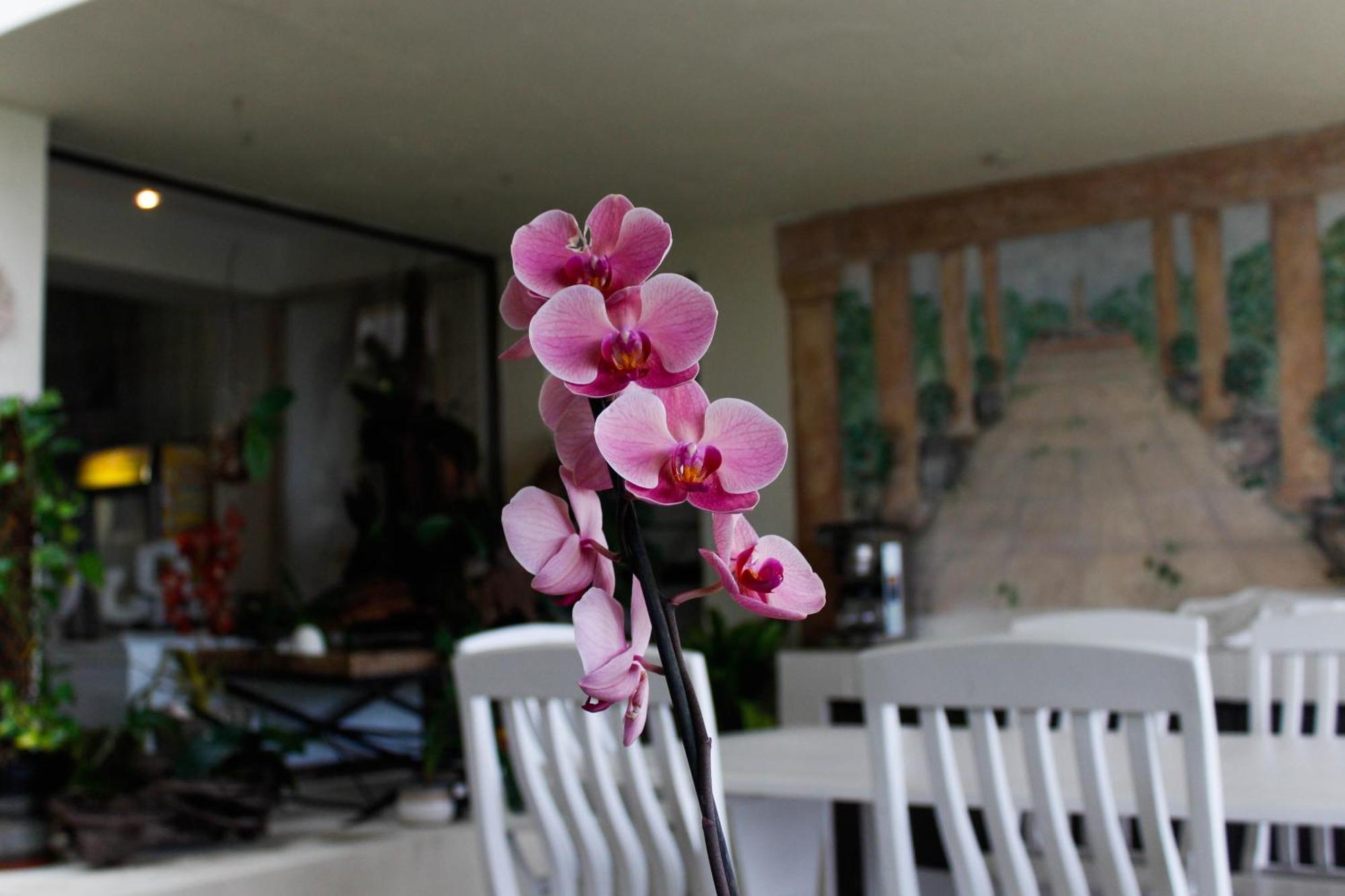 La Dolce Vita Umhlanga Guesthouse เดอร์บัน ภายนอก รูปภาพ
