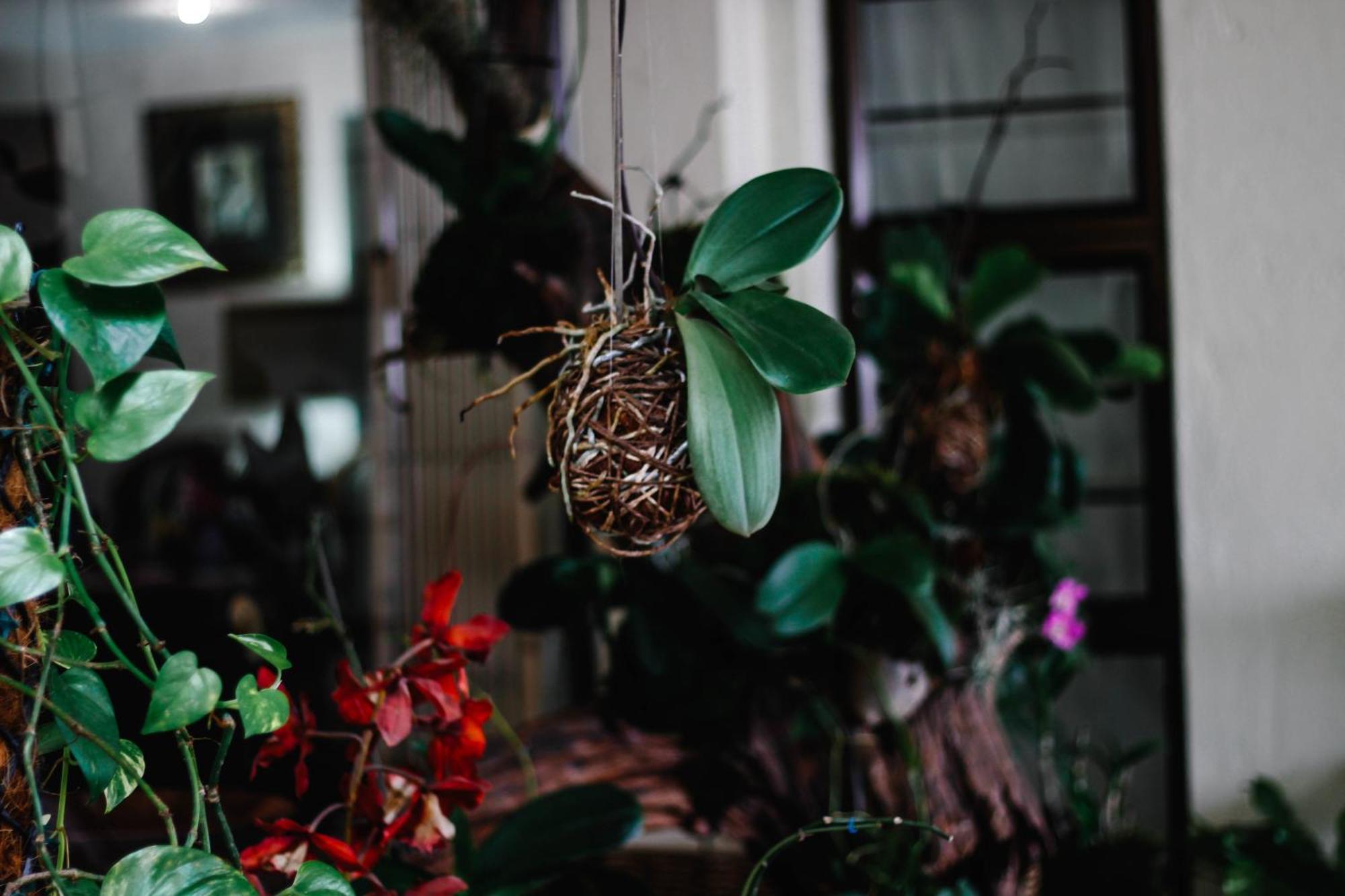 La Dolce Vita Umhlanga Guesthouse เดอร์บัน ภายนอก รูปภาพ