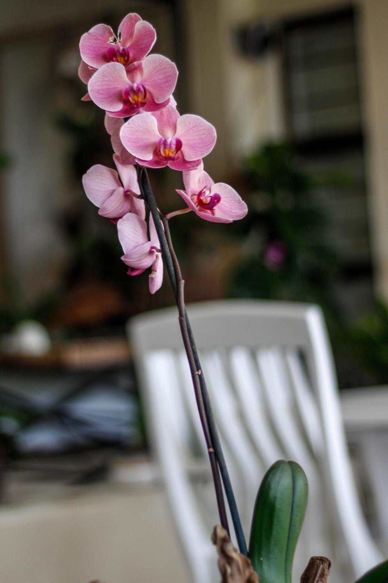 La Dolce Vita Umhlanga Guesthouse เดอร์บัน ภายนอก รูปภาพ