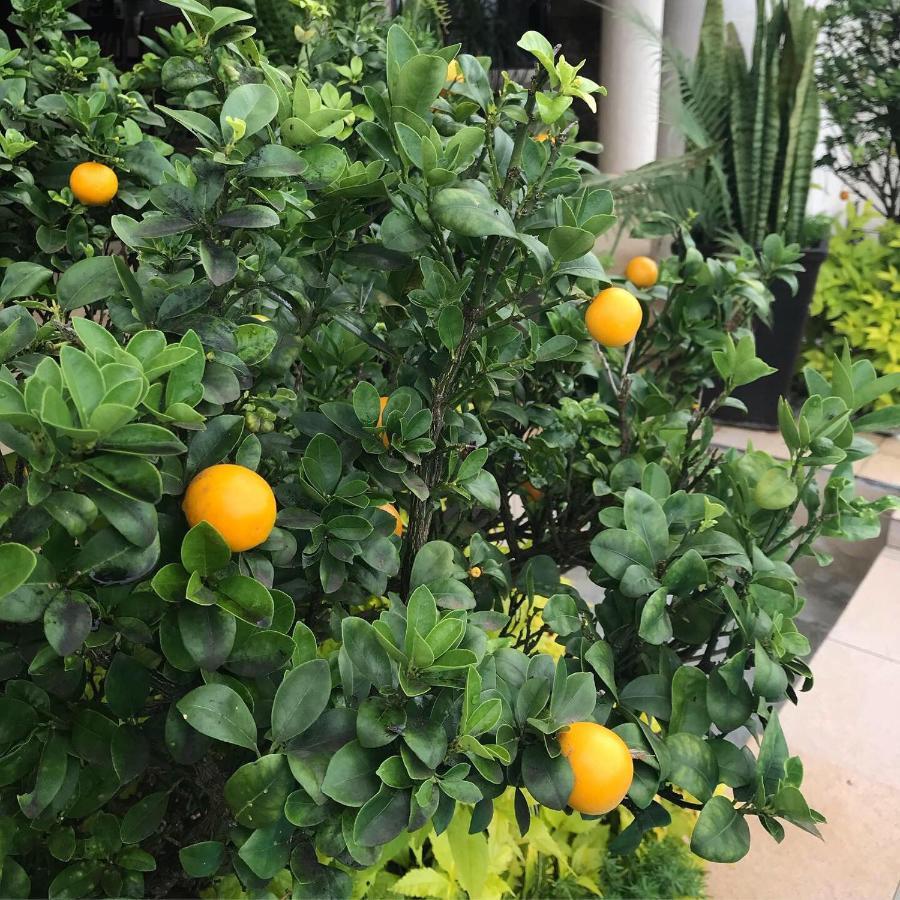 La Dolce Vita Umhlanga Guesthouse เดอร์บัน ภายนอก รูปภาพ